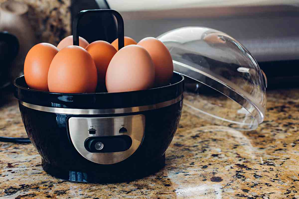 A Buyers Guide to Electric Egg Boilers- What You Need to Know