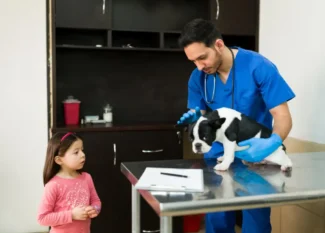 what makes a great vet tech program alhambra for future veterinary technicians