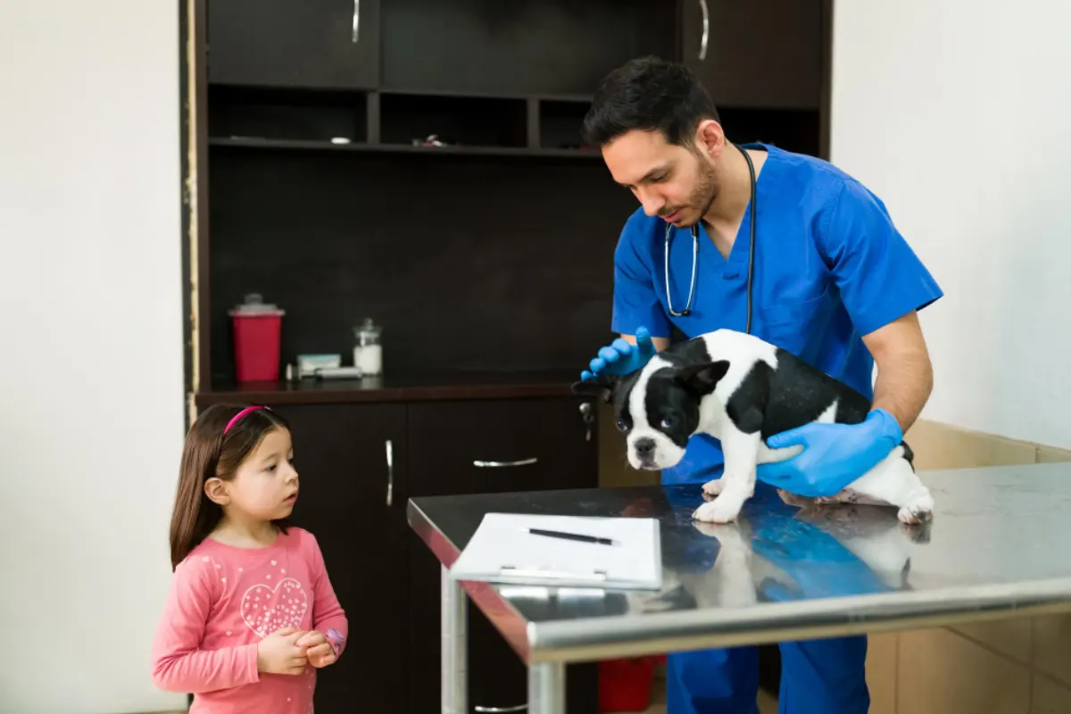 what makes a great vet tech program alhambra for future veterinary technicians
